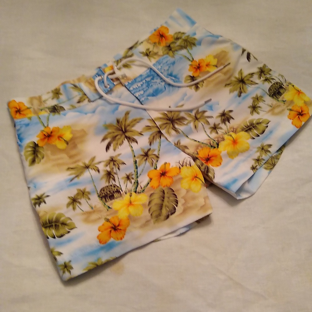 Parke & Ronen Swim Shorts